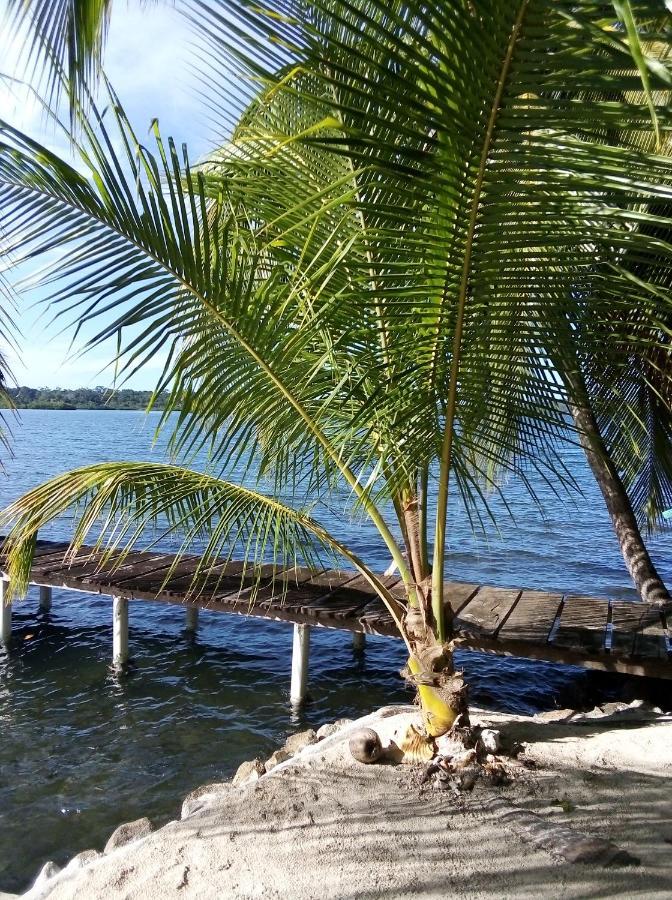 El Toucan Loco Floating Bed & Breakfast Tierra Oscura